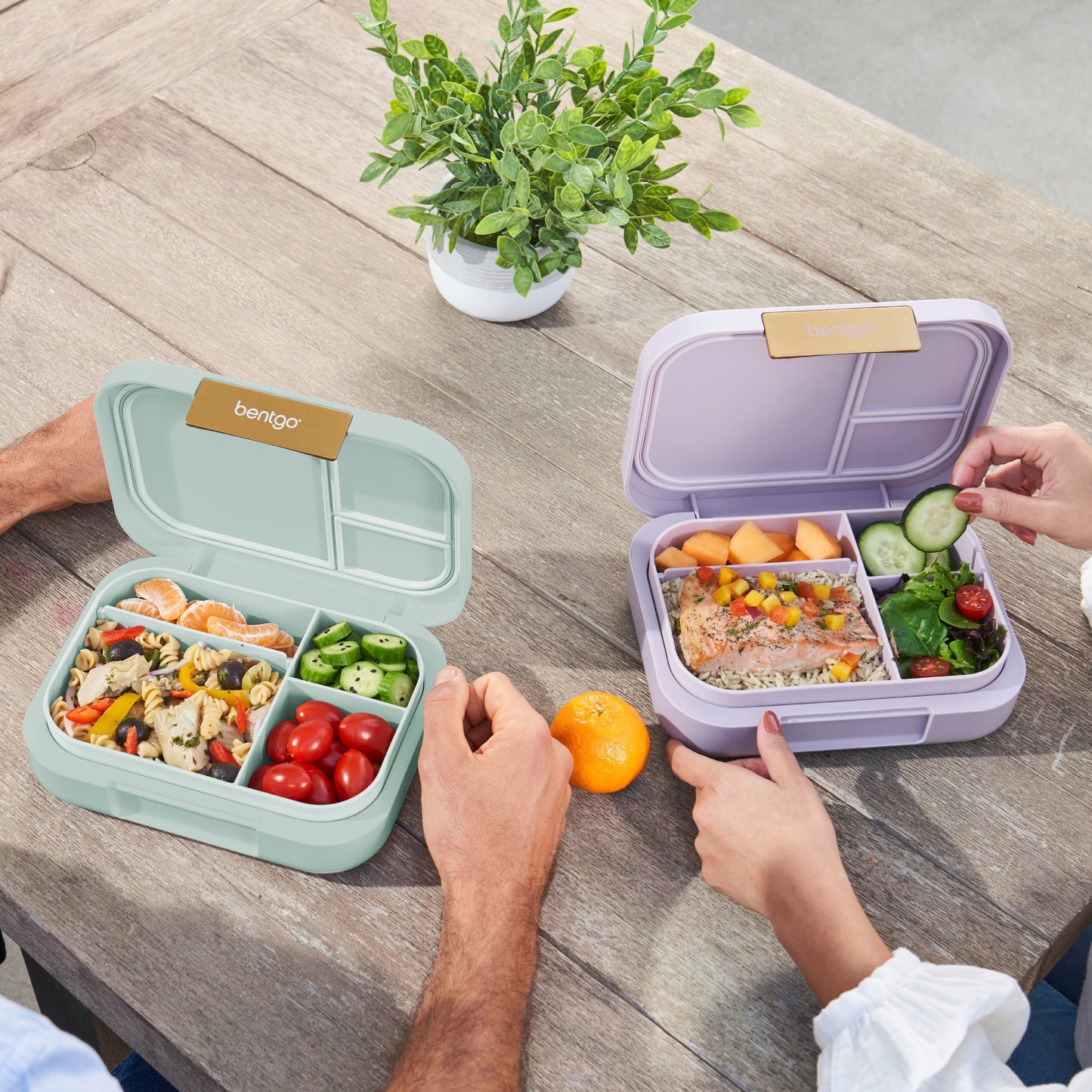 bentgo-modern-lunch-box-2-pack-i8 COSTCOBMCPRODUCTIMAGE_2.jpg